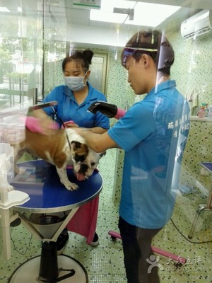瑞鵬寵物醫(yī)院（東曉南分院） 專業(yè)寵物服務(wù)與溫馨關(guān)懷的家園