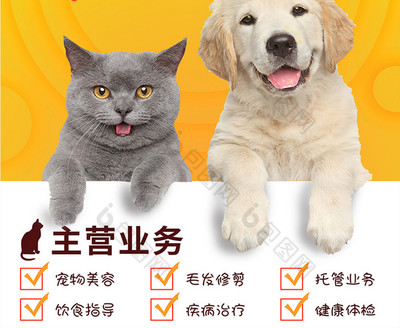黃色可愛寵物店鋪海報(bào)
